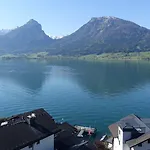 View Daire *